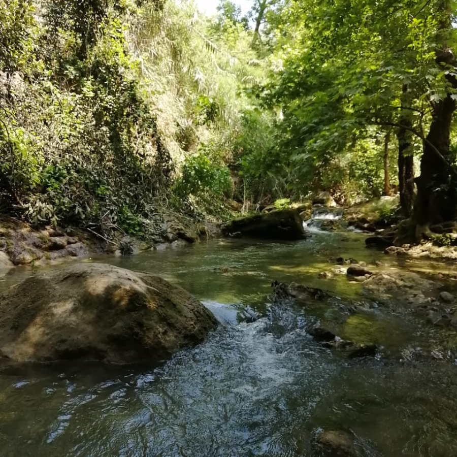 Al Jahliya River