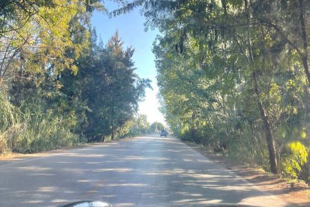 Short drive in Akkar