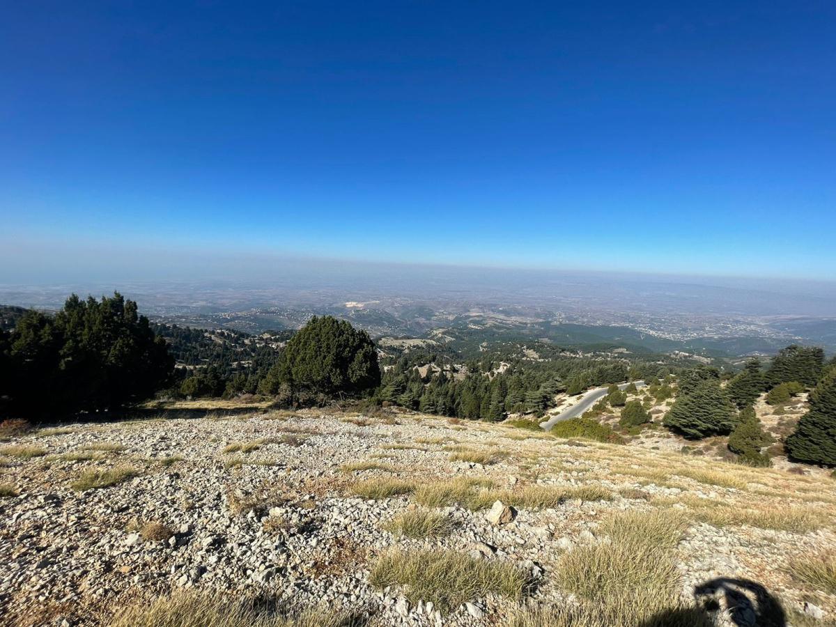 Nice view from the Akkar mountains