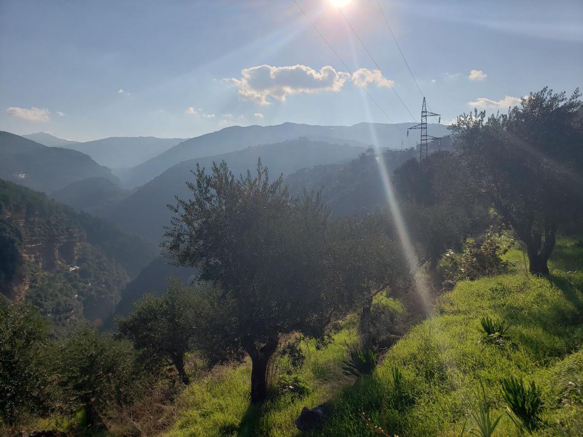 View from Kousba road