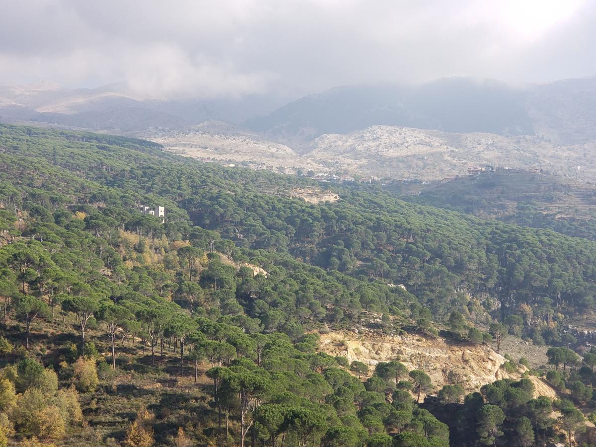 View from the road Hammana, Ain Dara