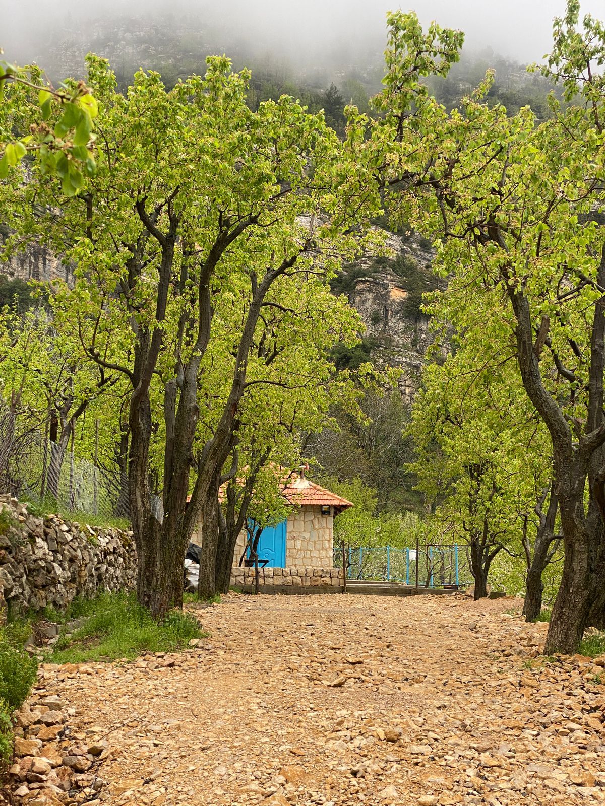 Chalet without Pool