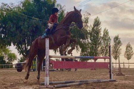 Hacienda horse riding