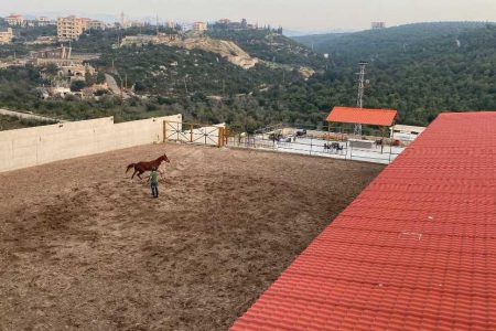 Horse Riding in Koura