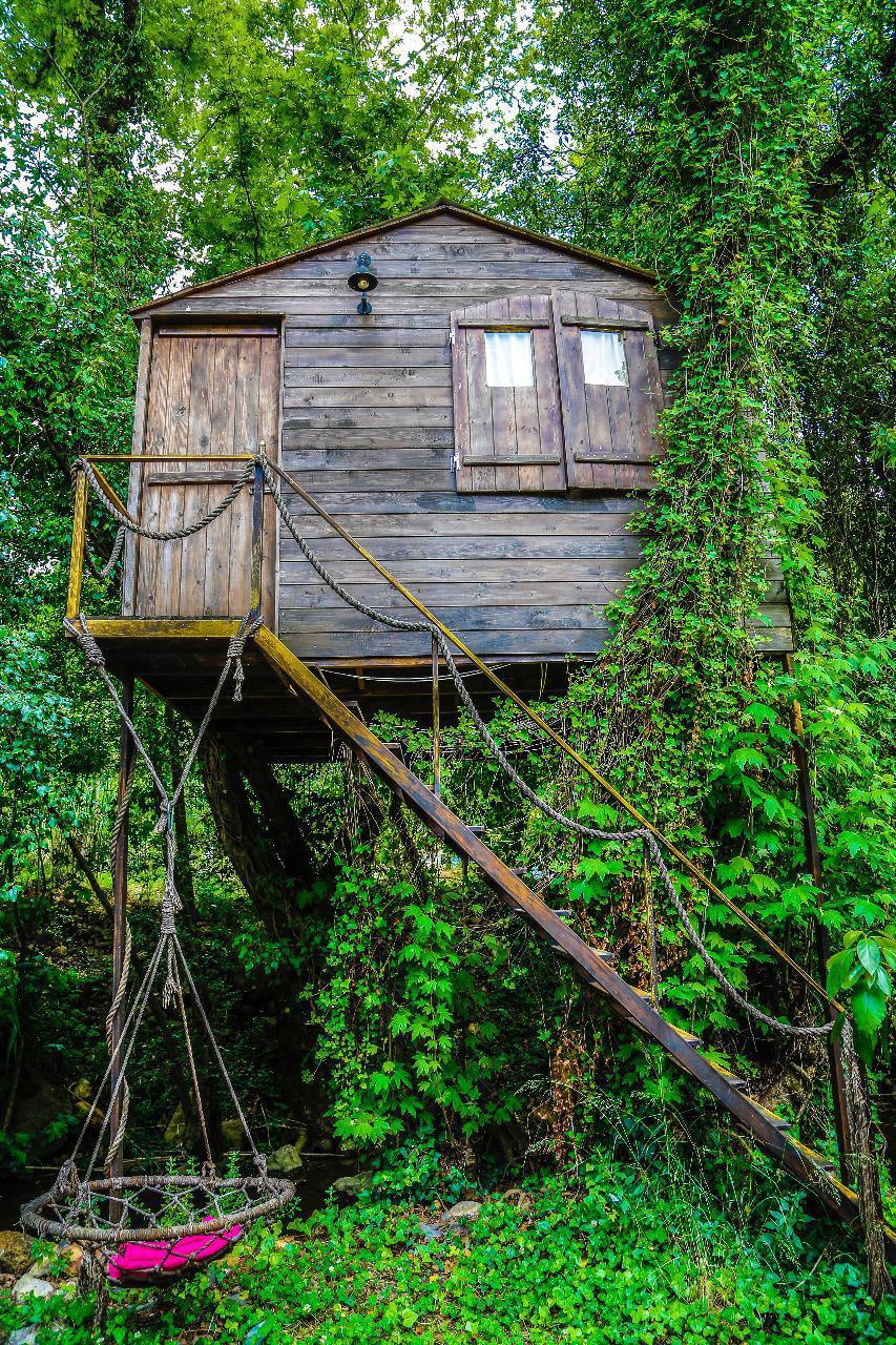 Tree House