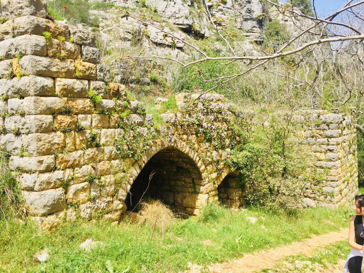 Hidden Waterfalls of Marj Bisri