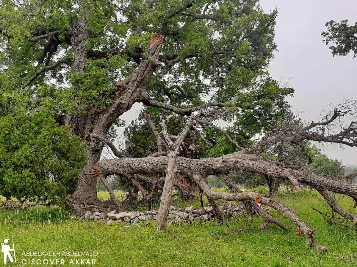 Al Lezab Trail – Wadi Khaled, Akkar