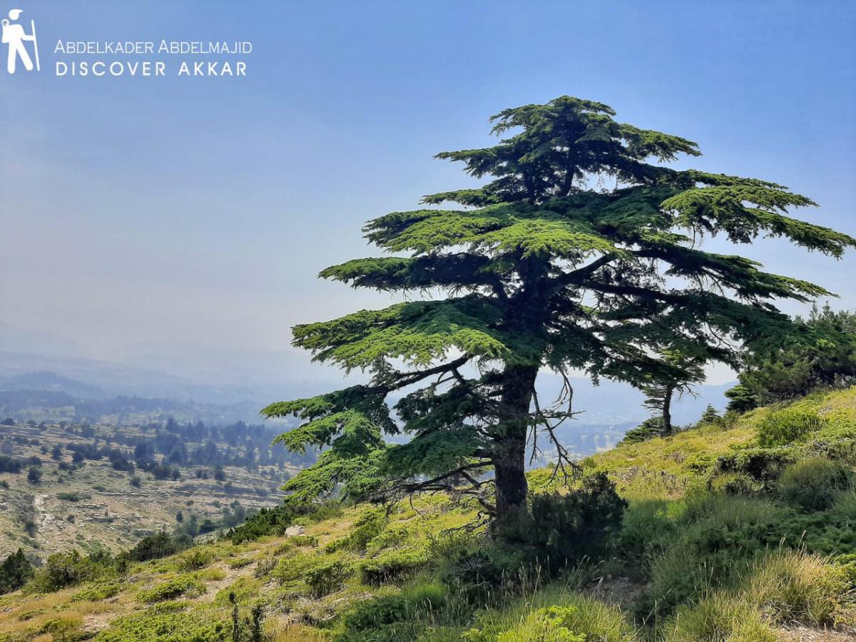 Arouba Valley Trail – Al Ezr, Akkar