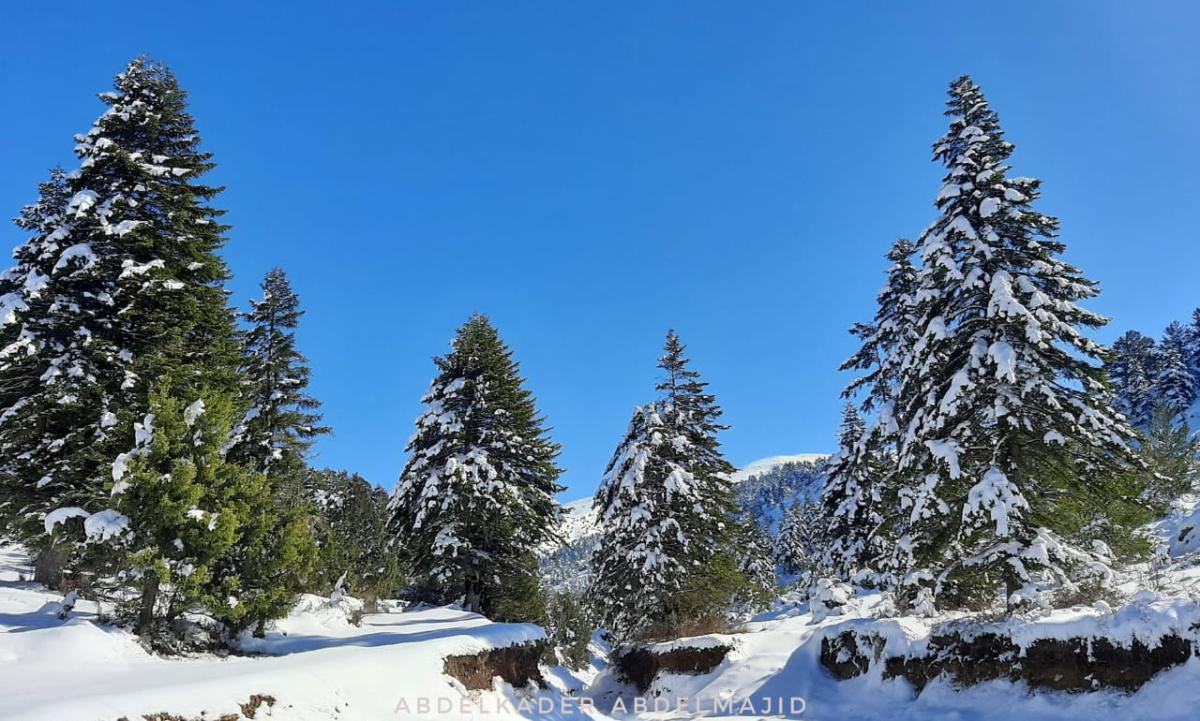 Snowshoeing -Akkar