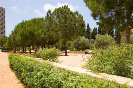 Sheikh Abdel Rahman El Hout Garden