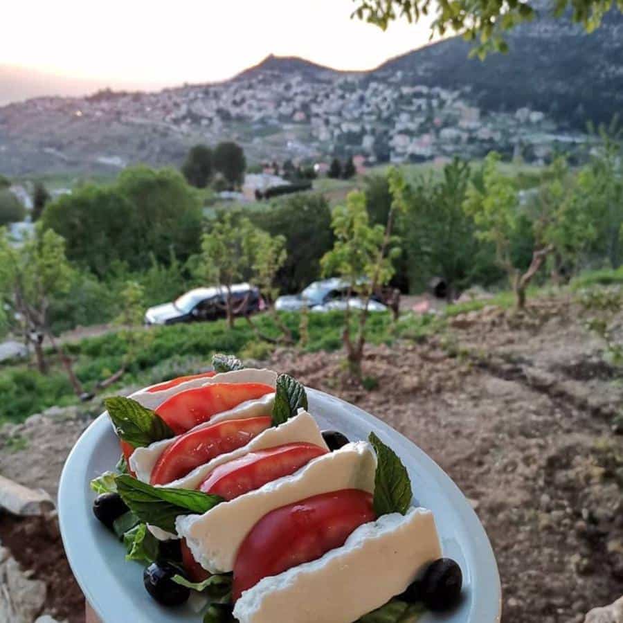 Reef Ehden