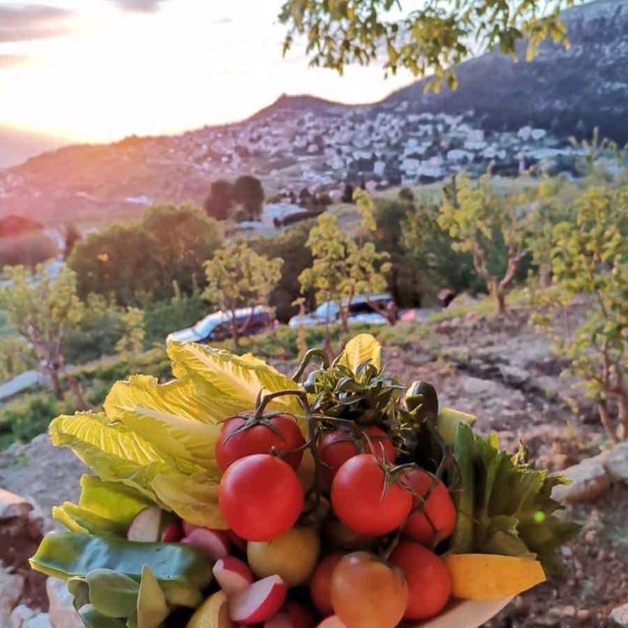 Reef Ehden