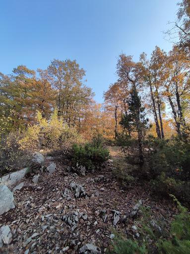 Hike in Aazr Forest