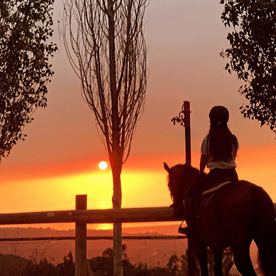 Hacienda horse riding