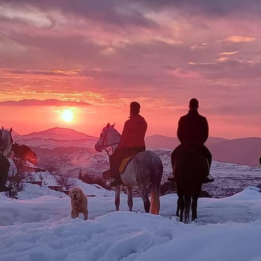 Cedars Horse Riding Club