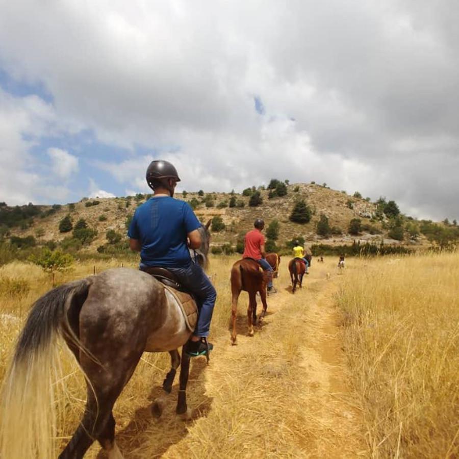 Cedars Horse Riding Club