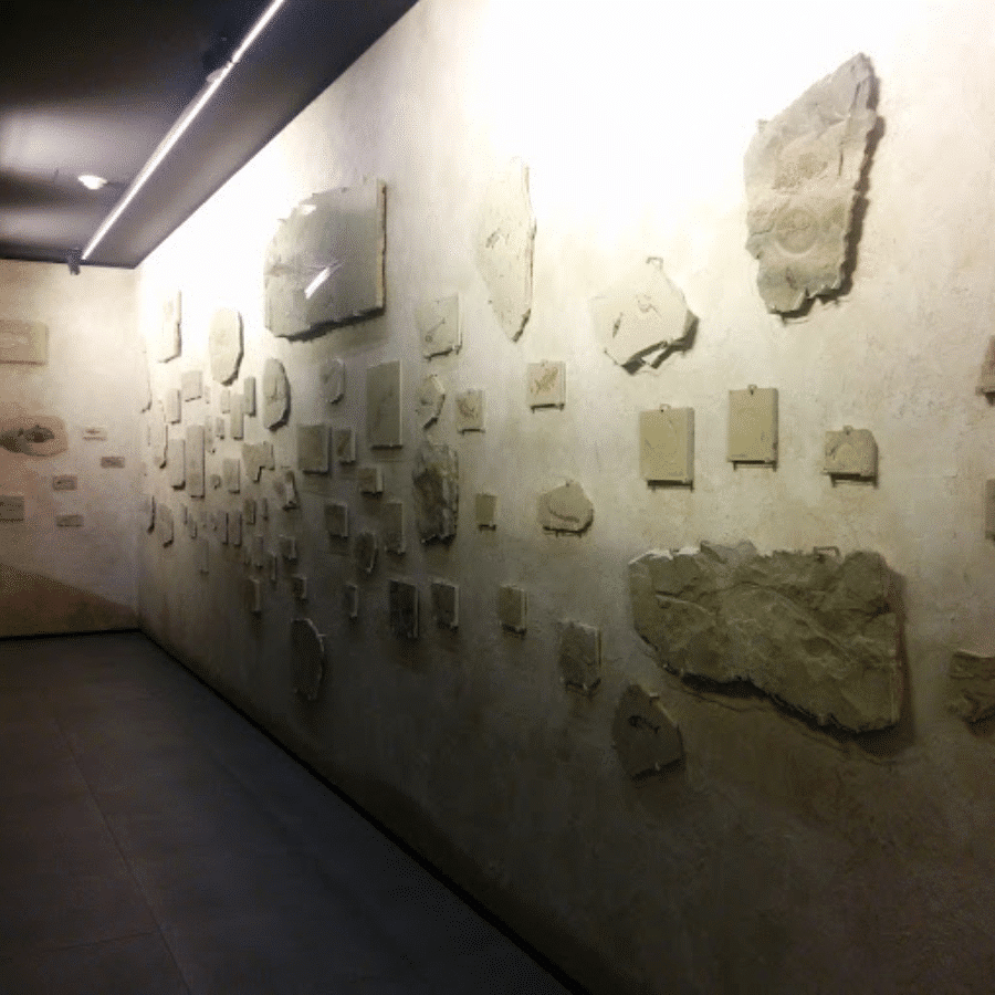 MIM Mineral Museum