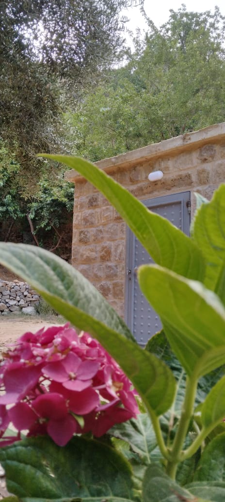 Stone Guesthouse with River Access – Jdeideh, El Chouf