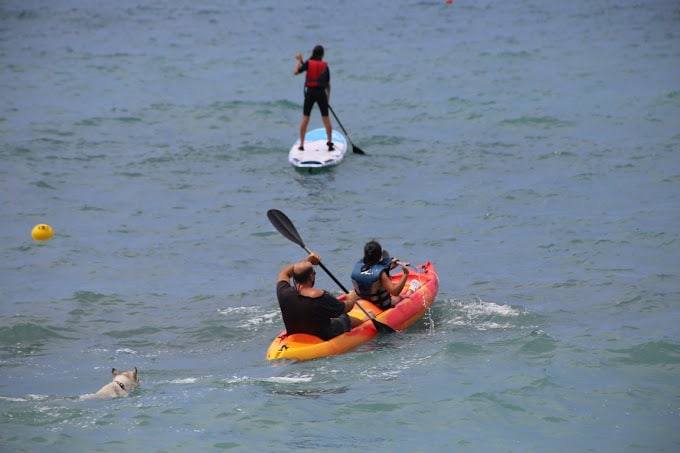 Sailing and Surfing in Halat