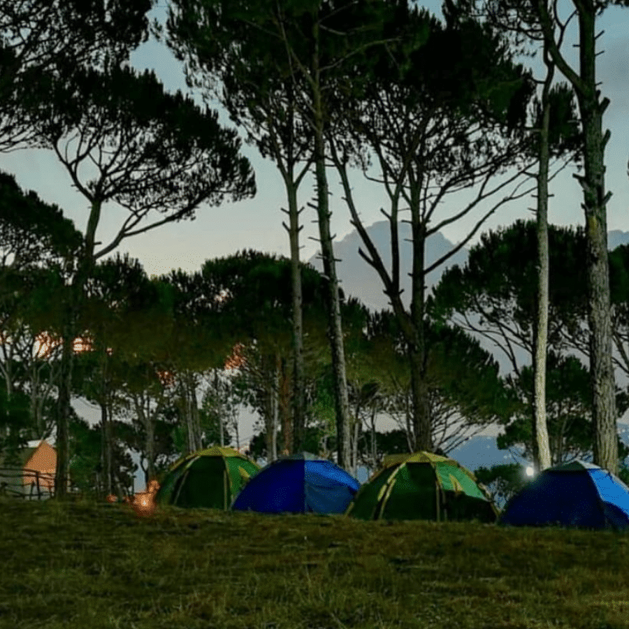 Le Camp