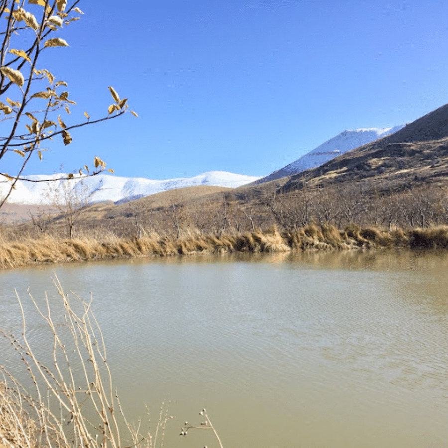 Sahna Ponds