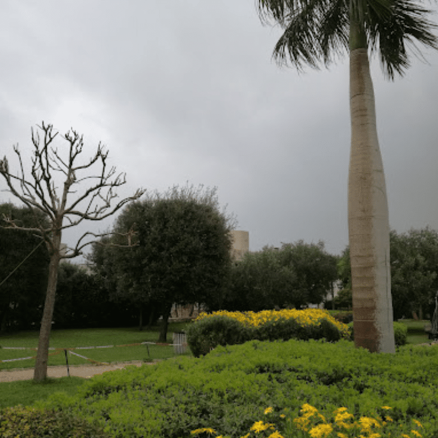 Jbeil public park