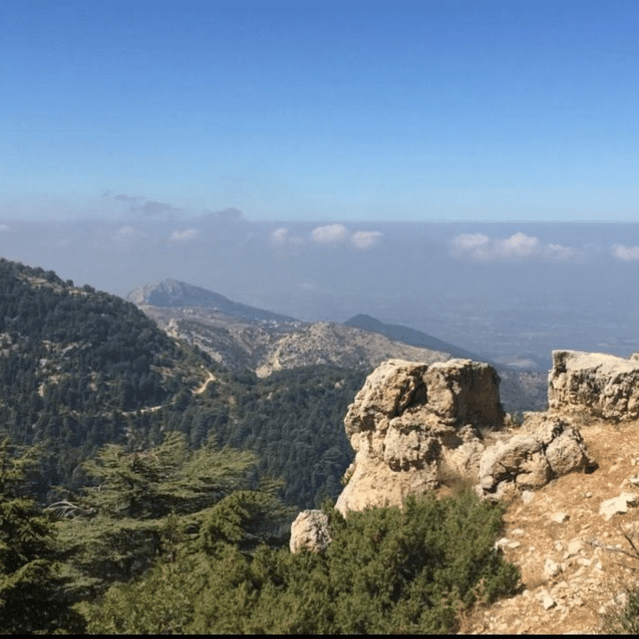 Horsh Ehden Nature Reserve