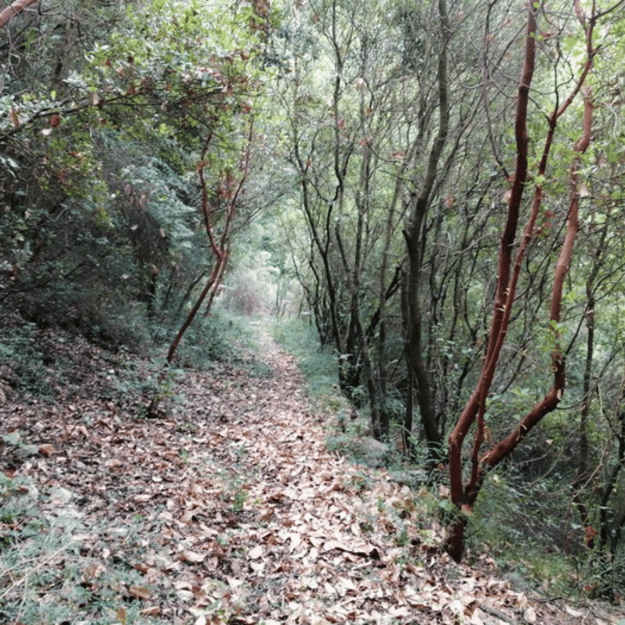 Chnaniir Nature Reserve