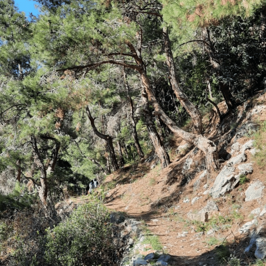 Mar Youhanna Hrach Trail