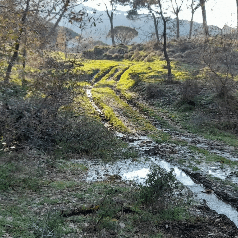 Motocross Kahwaji