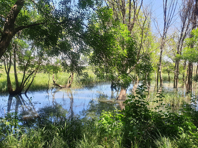 Ammiq Wetlands