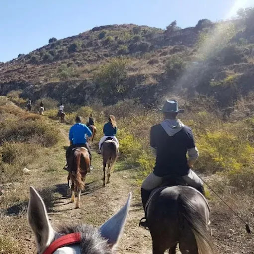 Cavallino Horse Riding Club – Jezzine