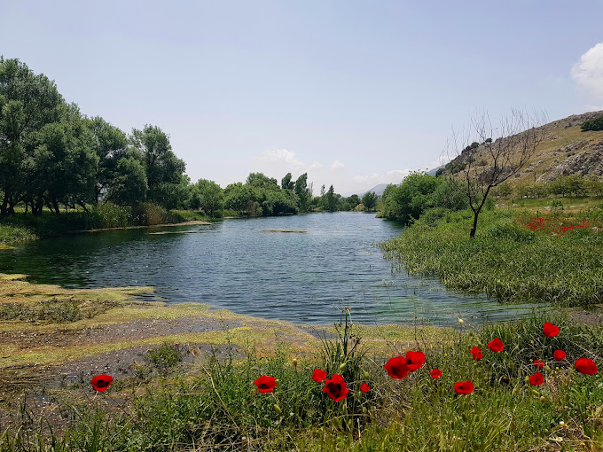 Ammiq Wetlands