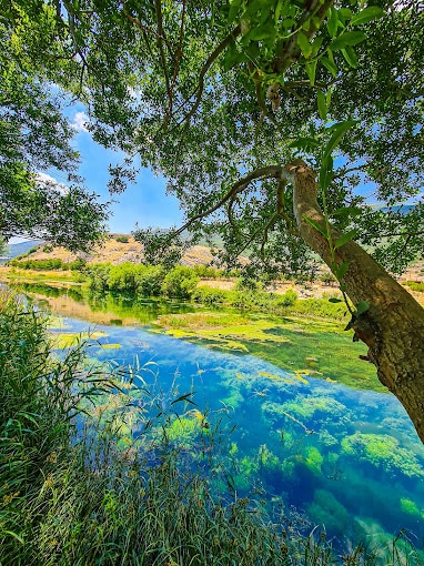 Ammiq Wetlands