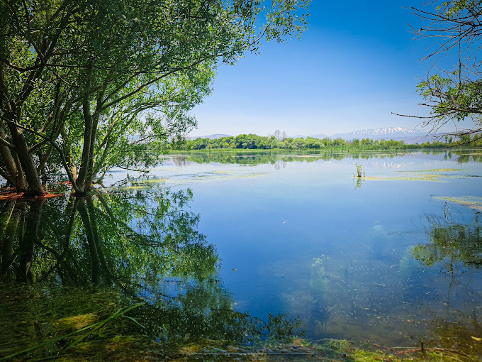 Ammiq Wetlands