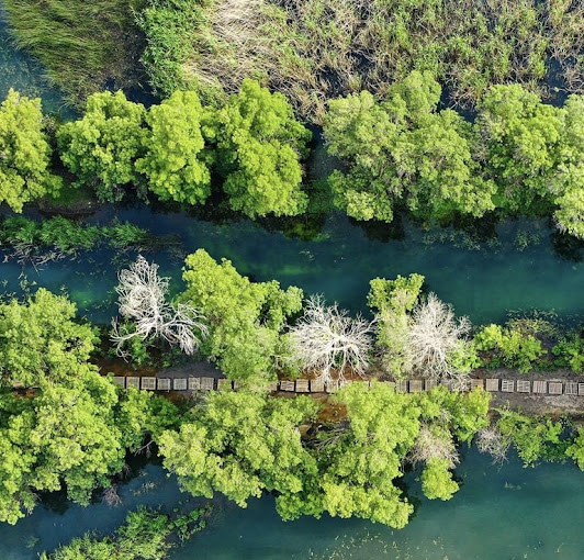 Ammiq Wetlands