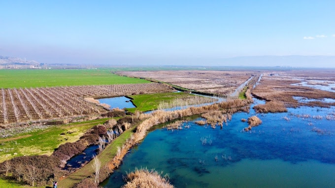 Ammiq Wetlands