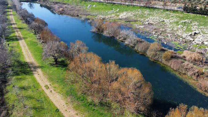 Ammiq Wetlands