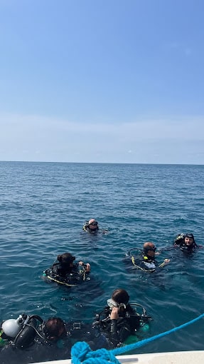 Diving in Kaslik