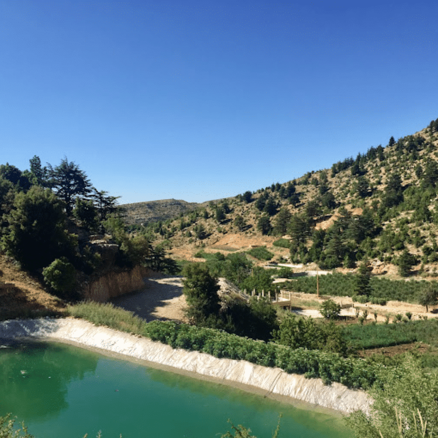 Karm El Mohr Cedar Forest