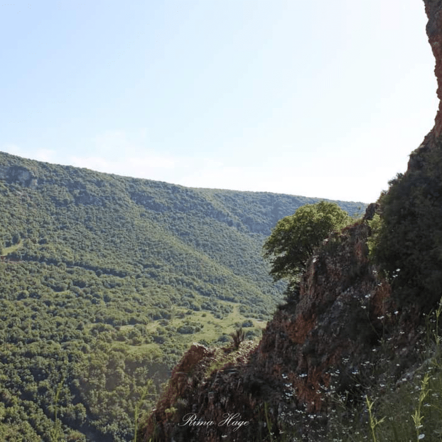 Machta El Aaziyyeh – Wadi Zebqeen