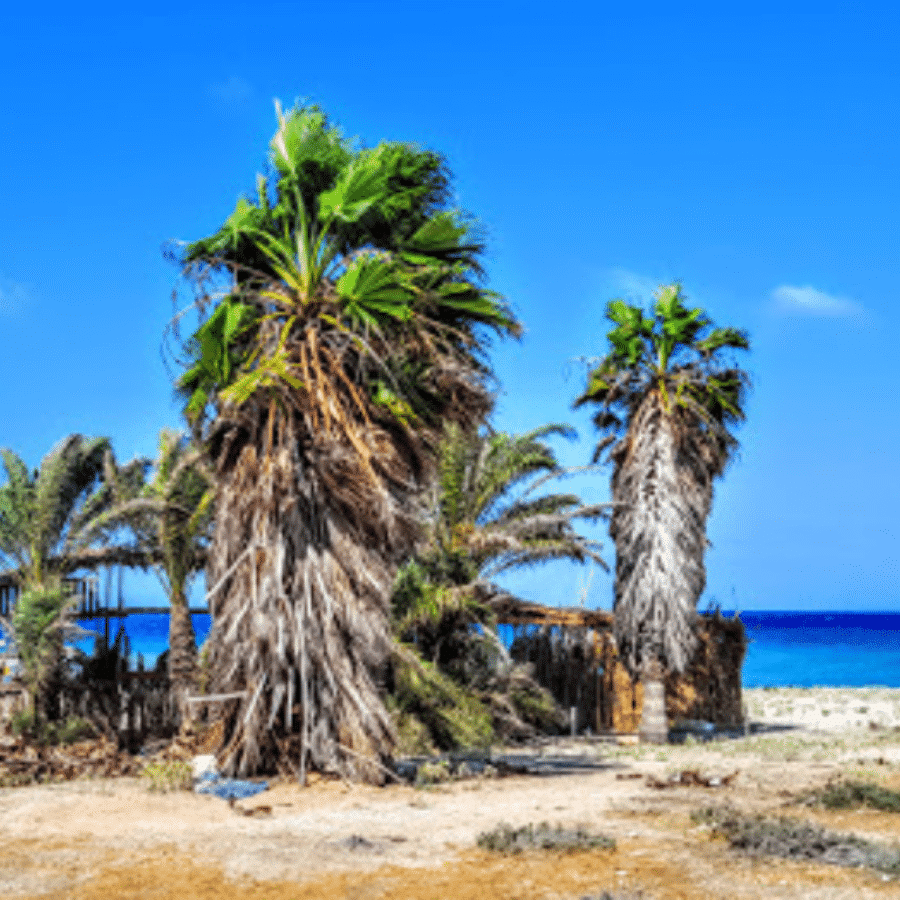 Palm Island Nature Reserve