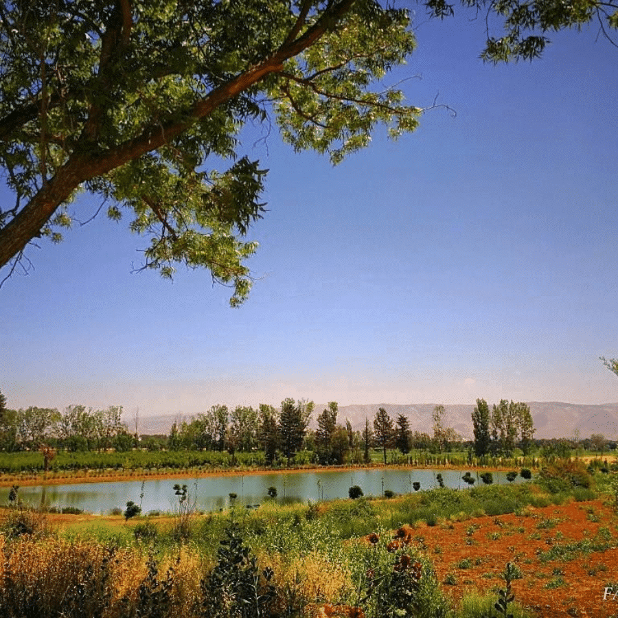 Deir Taanayel Reserve