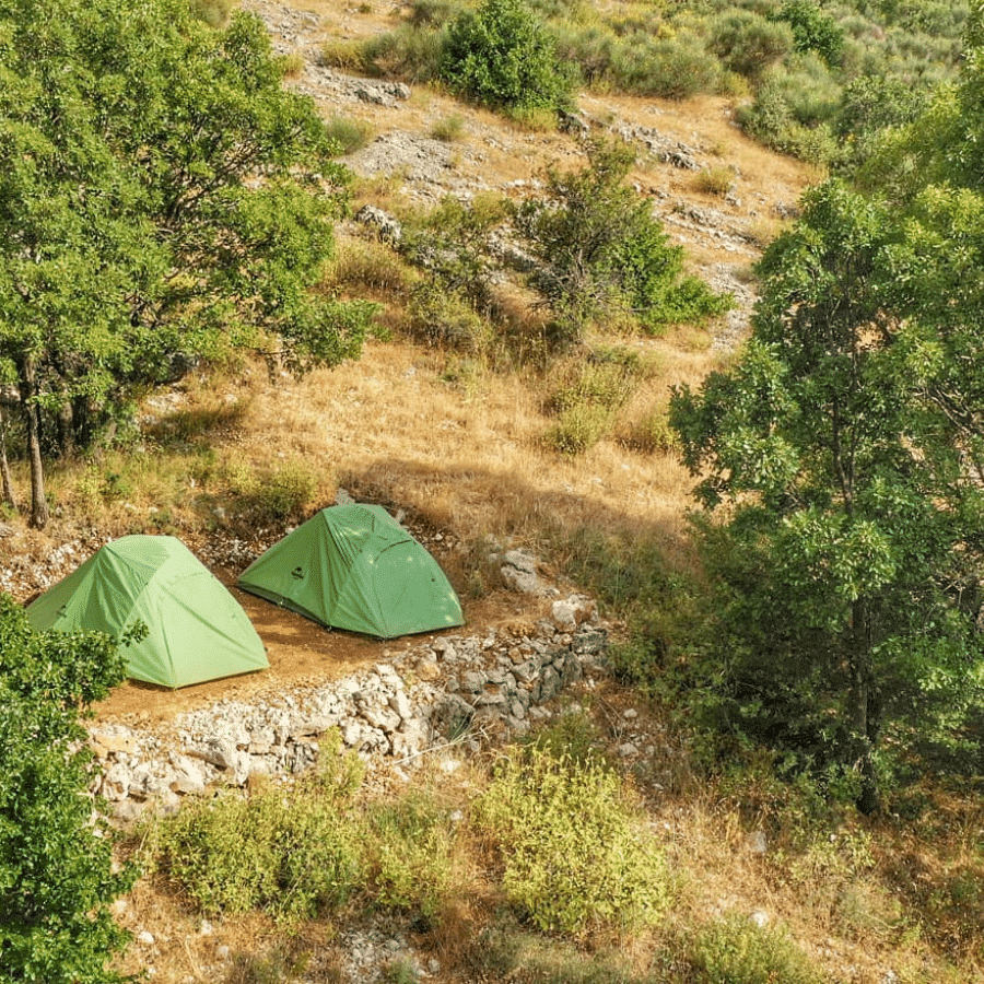 Authentic camping experience-Cedars forest