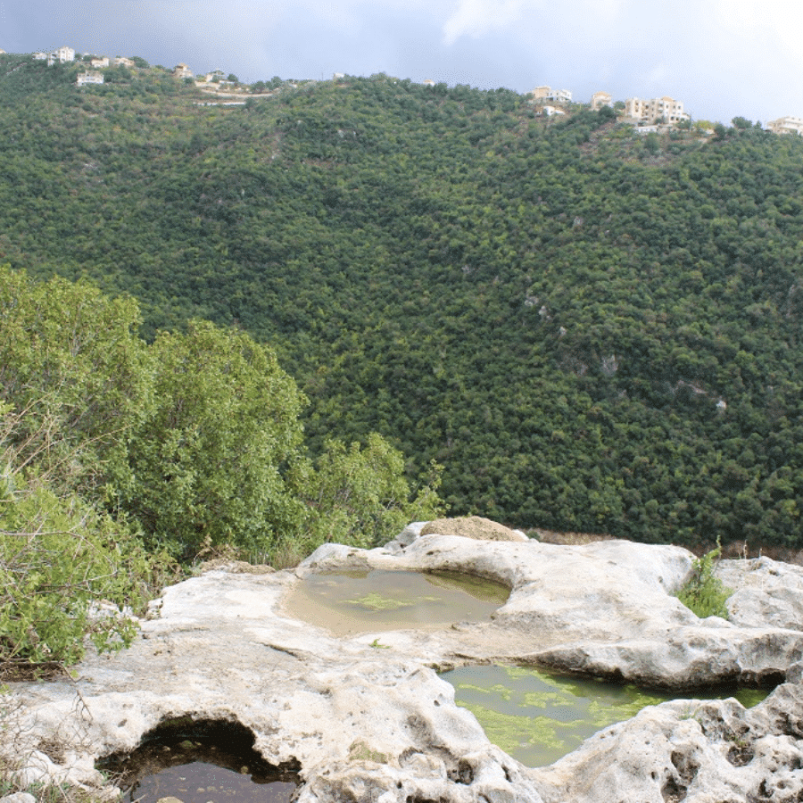 Bentael Nature Reserve