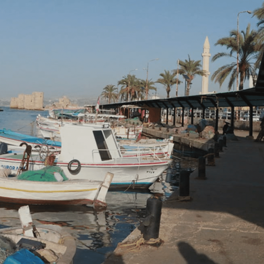 Boat Tour in Saida