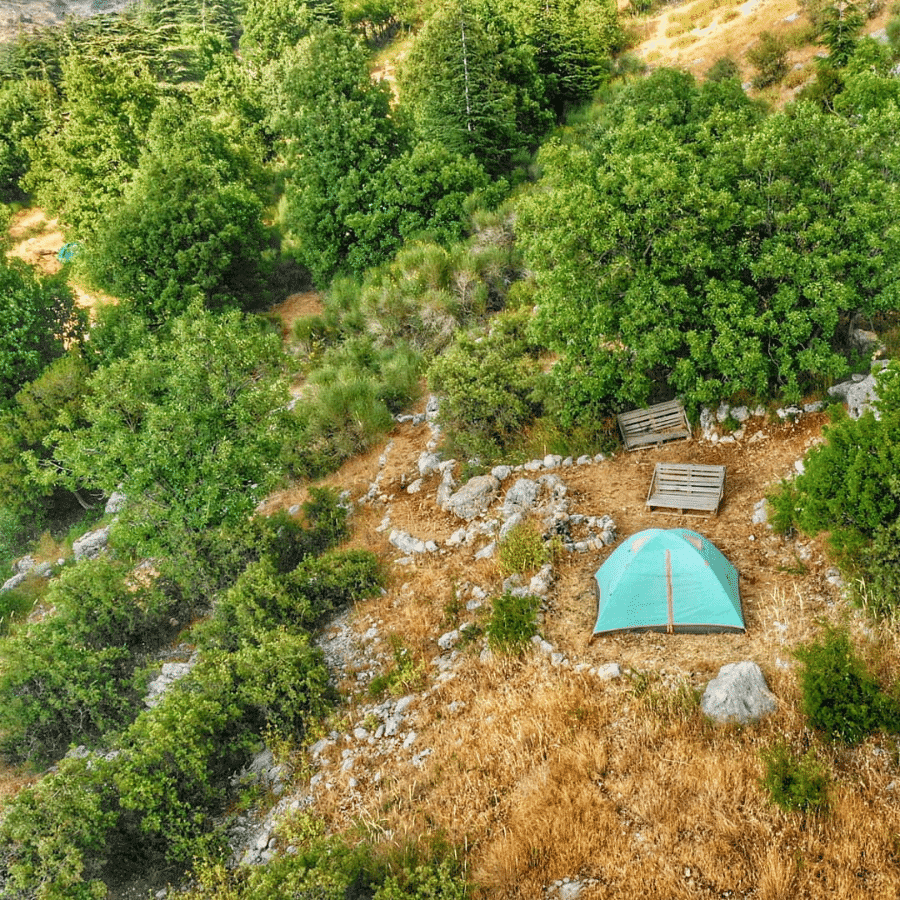 Authentic camping experience-Cedars forest