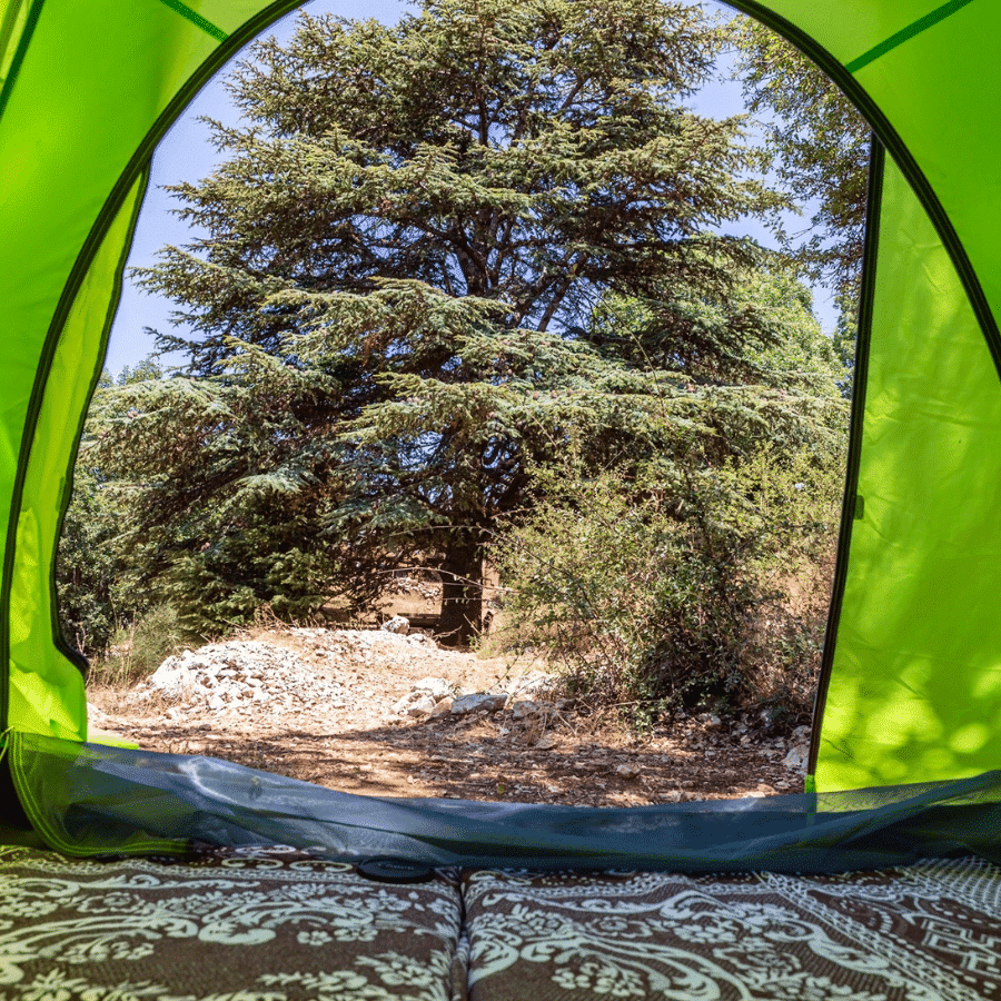 Authentic camping experience-Cedars forest