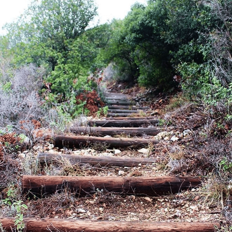 Bentael Nature Reserve