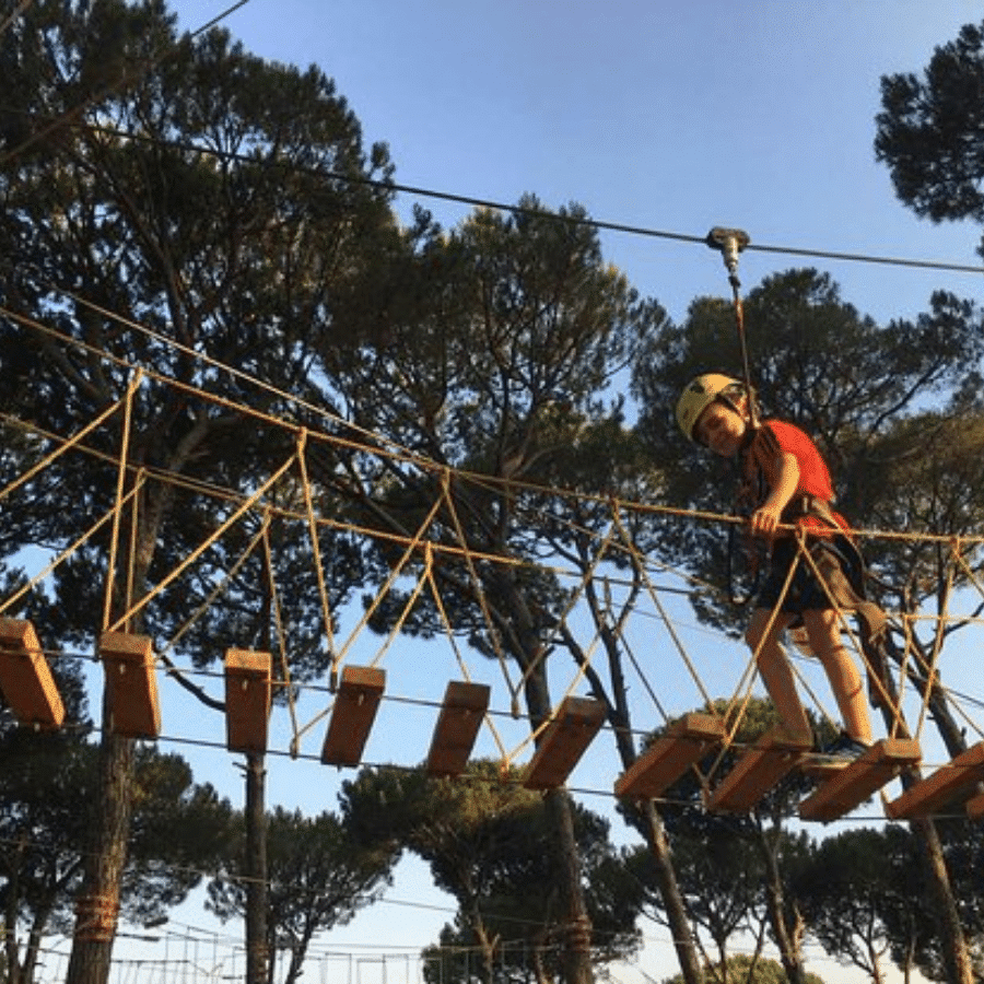 Swings